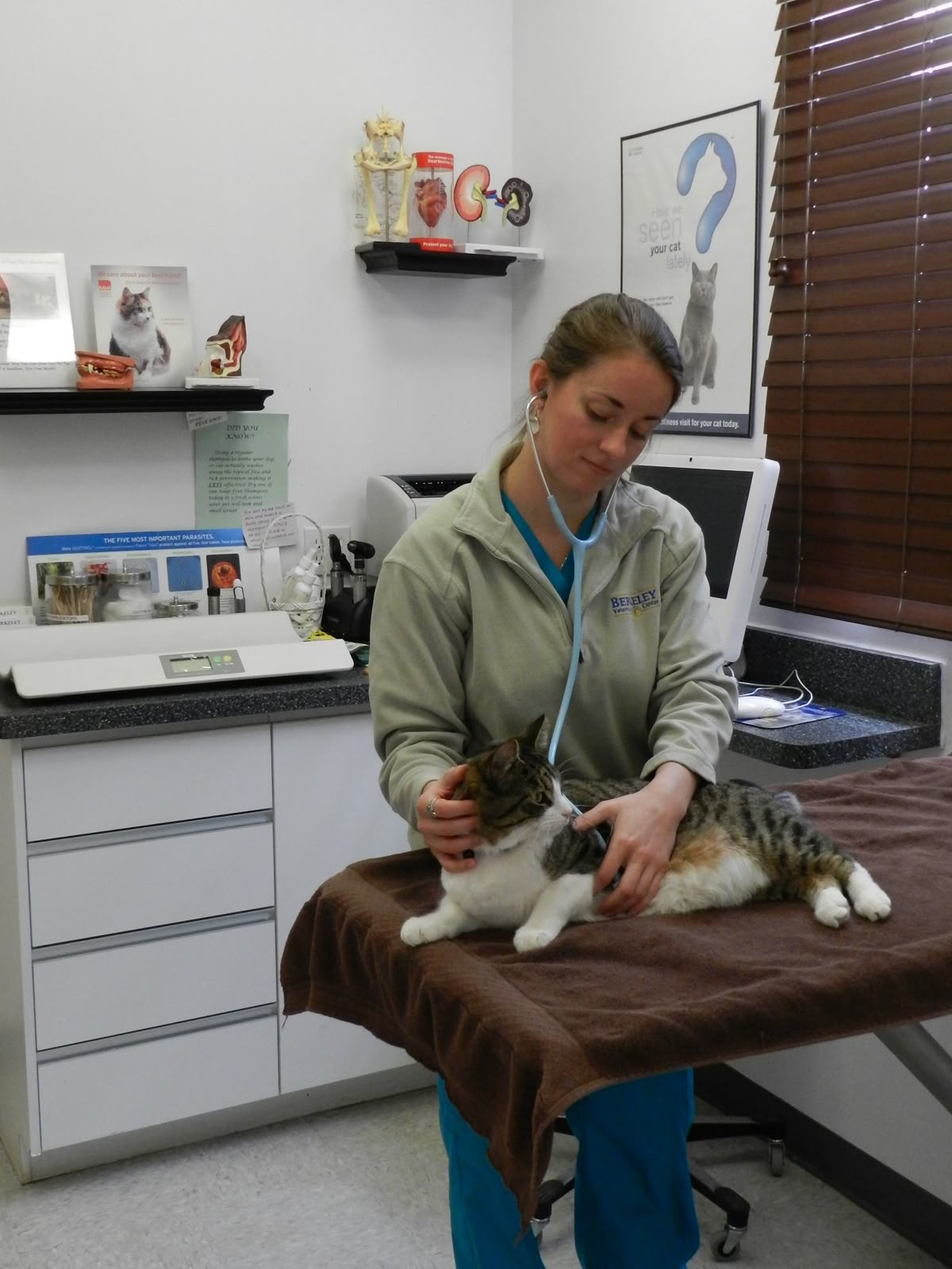 Veterinary lab environment